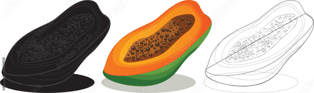 Papaya fruit design illustration Vector Papaya fruit design illustration Vector