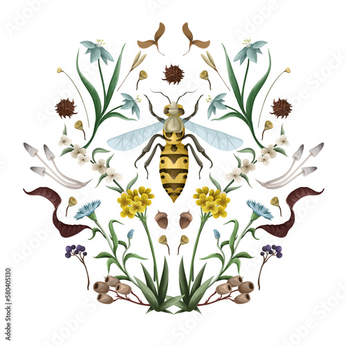 Illustration with wasp, mushroom and flowers. Vector.