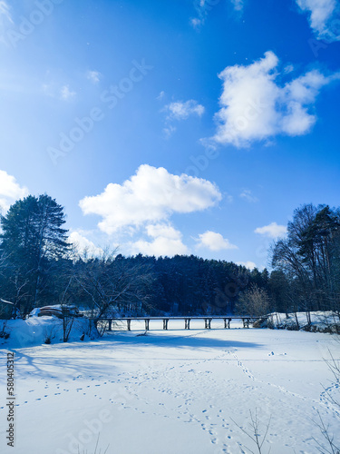 winter landscape with snow