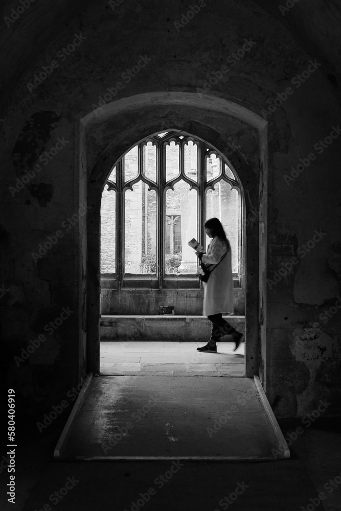 Silhouette of a woman reading while walking in a historic building - obrazy, fototapety, plakaty 