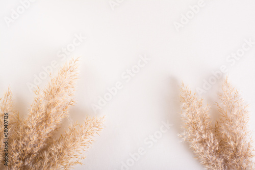 Natural mock-up from ears of grass on a light background with a place for an inscription.