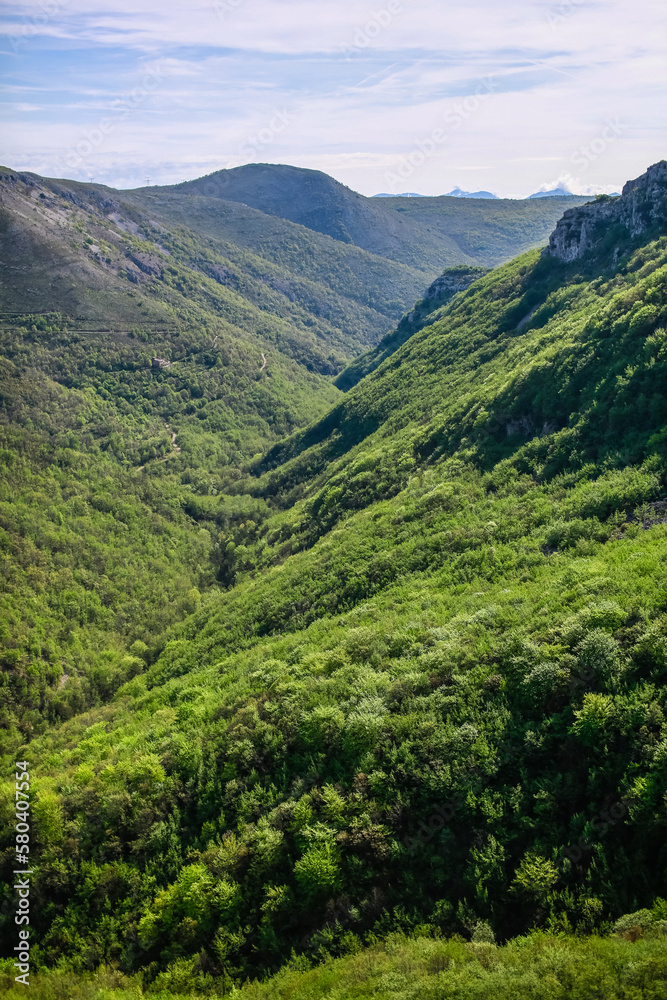 Fototapeta premium Big green lush valley between mountains