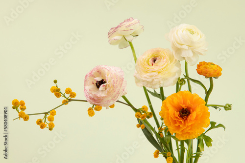 Beautiful colorful flowers, buds, delicate petals. Stylish bouquet. Postcard with natural flowers. Studio lime background. Copy space.  Nobody. Horizontal. Floristic, birthday card, flower concept.