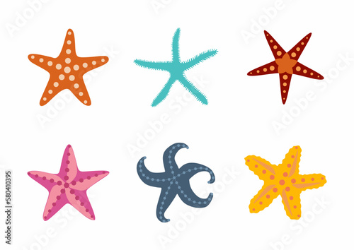 Sea stars set. Multicolored starfish on a white background. Starfishes underwater invertebrate animal.
