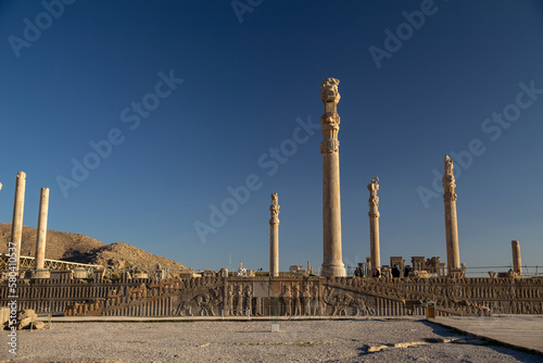 The Northern Stairway of Apadana, Persepolis, Iran