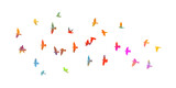 Abstract colored flying birds. Mixed media. Vector illustration