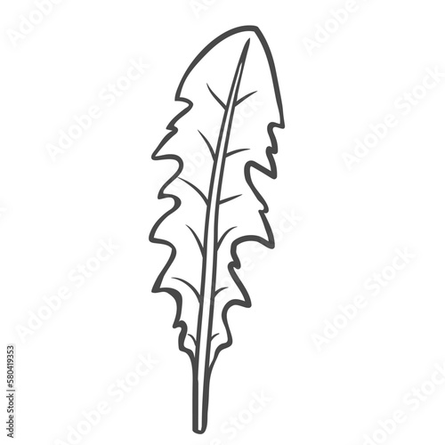 Dandelion leaf outline icon vector illustration. Hand drawn line sketch of edible plant from spring or summer meadow, natural leaves for cooking vegan salad in kitchen, dandelion vitamin herb