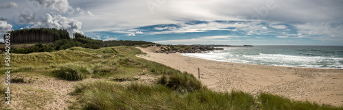 Sandstrand mit Wald in Norwegen