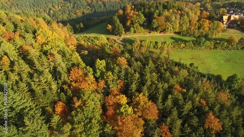 black forest at autumn photo