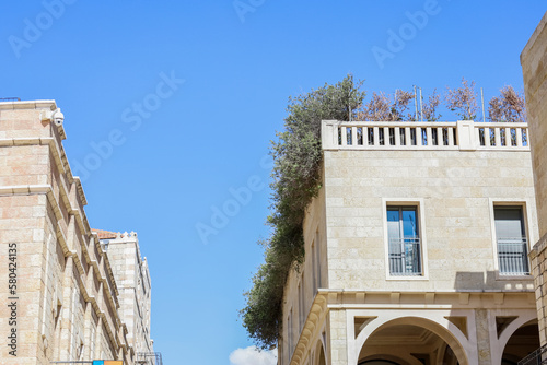 Green trees on roof of buil...