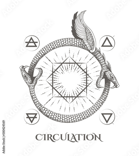 Two Ouroboros Snakes Eat Their Tails Esoteric Circulation Concept