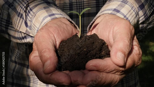 Handful of dirt garden farm growth plant ground earth garden seedling in hand growing sprout soil earth day. Green sprout plant hands farmer holding plant seedling sprout hand sapling growing new life