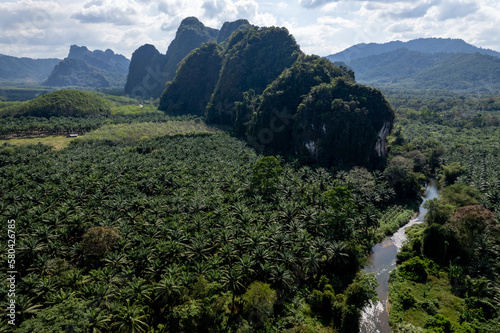 Prominence - Green Mountain, Khao Sok, Thailand
