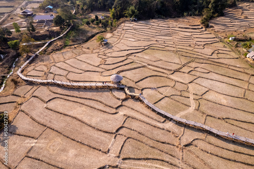 Wide View of Winter Rice Fields - Kho Ku So Bamboo Bridge, Pai, Thailand