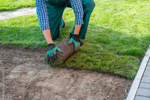 Man laying grass turf rolls for new garden lawn