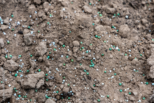 Mineral fertilizers lie on the surface of the soil