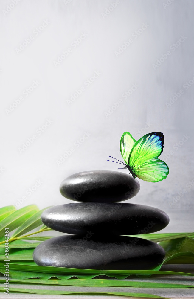 Obraz premium Stones balance, palm and butterfly. Zen and spa concept.