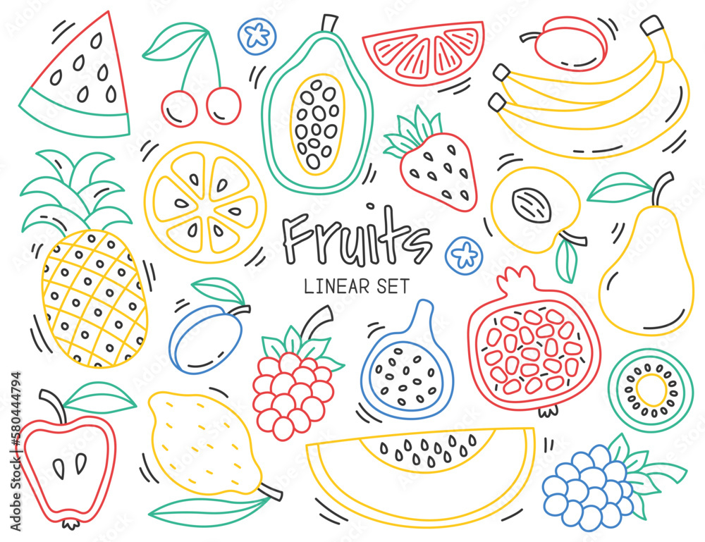 Colored fruits in line art. Continuous linear doodles arts of exotic and fresh fruits. Creative design elements Colored fruits in line art. Continuous linear doodles arts of exotic and fresh fruits. Creative design elements