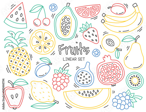 Fototapeta Naklejka Na Ścianę i Meble -  Colored fruits in line art. Continuous linear doodles arts of exotic and fresh fruits. Creative design elements