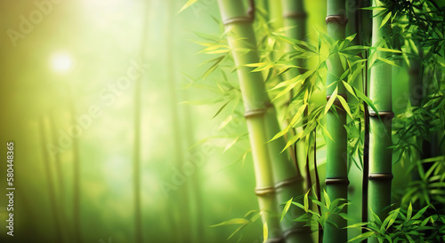 Bamboo trees with copy space. Based on Generative AI