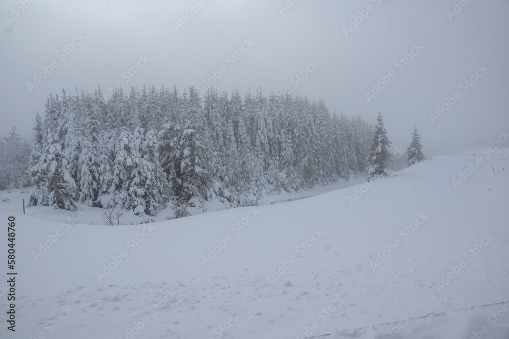 Winter view of Rila mountain near Belmeken Dam, Bulgaria Winter view of Rila mountain near Belmeken Dam, Bulgaria