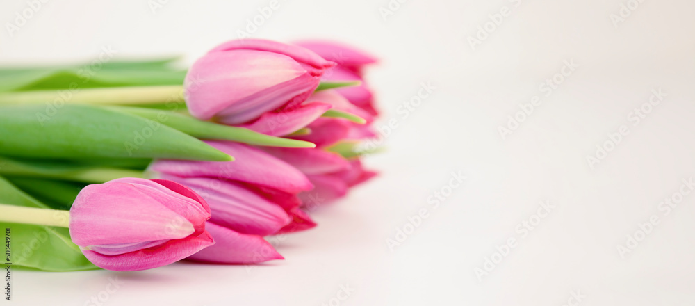 Spring pink tulips on grey background. Copy space