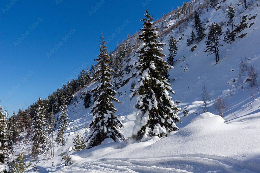 Winter view of Rila Mountain near Malyovitsa peak, Bulgaria