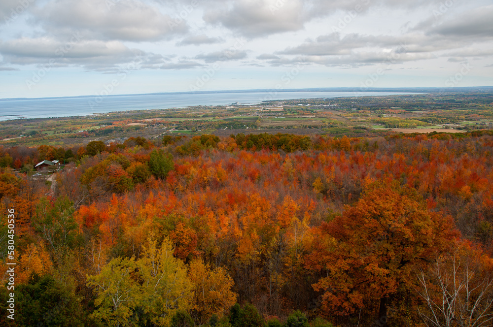 The view of the forest during autumn with the town of Collingwood and Georgian Bay in the background