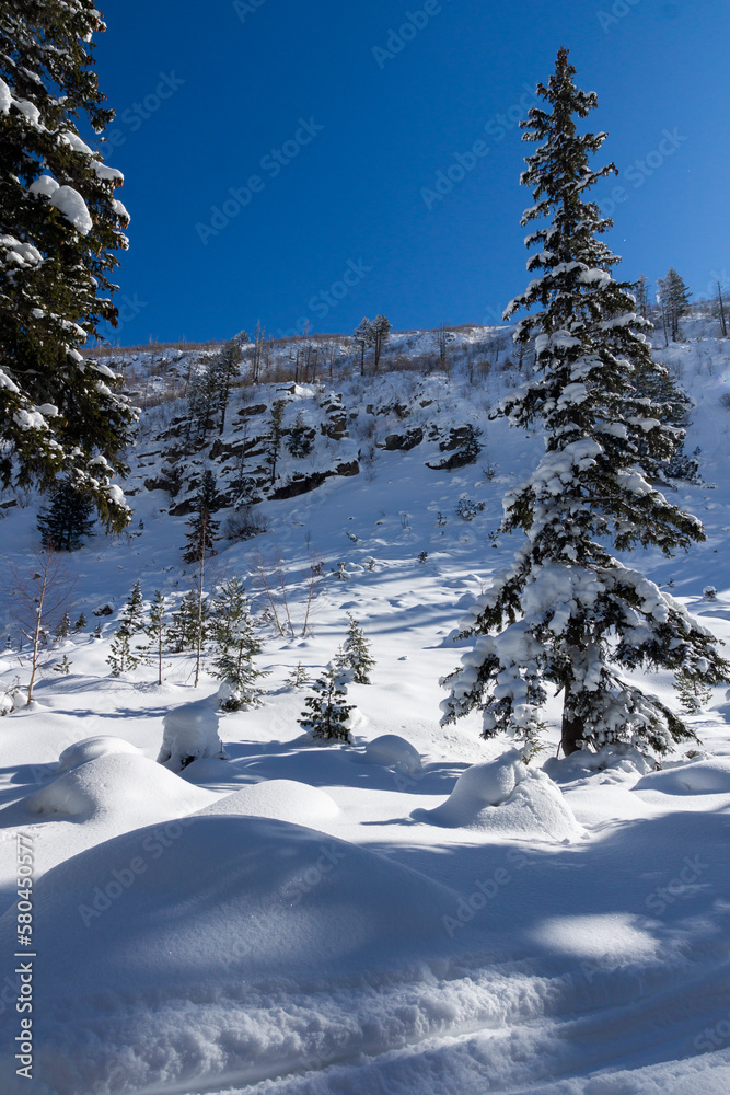 Winter view of Rila Mountain near Malyovitsa peak, Bulgaria