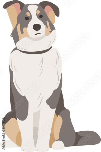 Flat style vector illustration of a border collie dog breed isolated on white. Cartoon dogs.