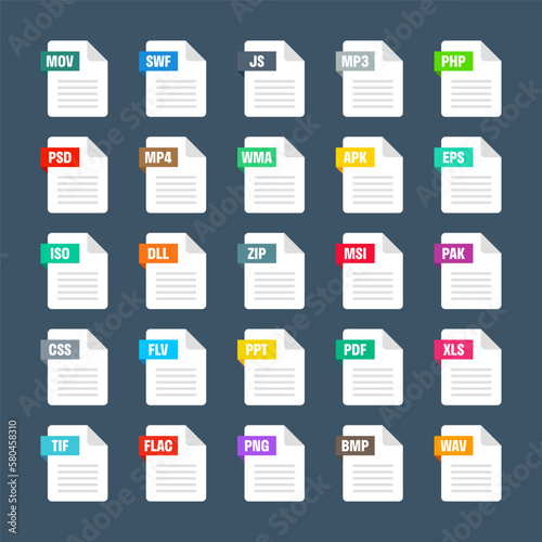 Common system file formats. Document types and extensions. Flat style icons collection. Document pictogram, web design UI element, template. Computer program or application icon. Vector illustration