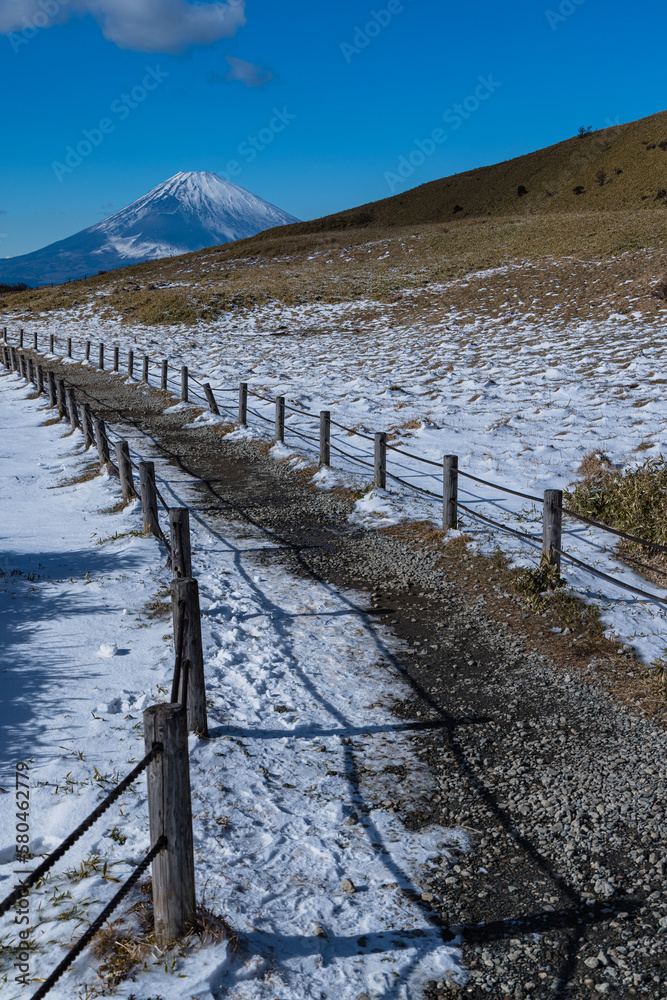 Fototapeta premium 日本 神奈川県足柄下郡箱根町の駒ヶ岳山頂から見える富士山