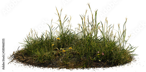 Valokuva grass patch with dandelion, meadow scene isolated on transparent background