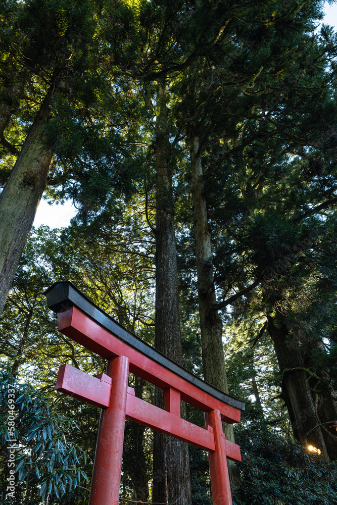 日本　神奈川県足柄下郡箱根町の芦ノ湖湖畔にある箱根神社の第五鳥居