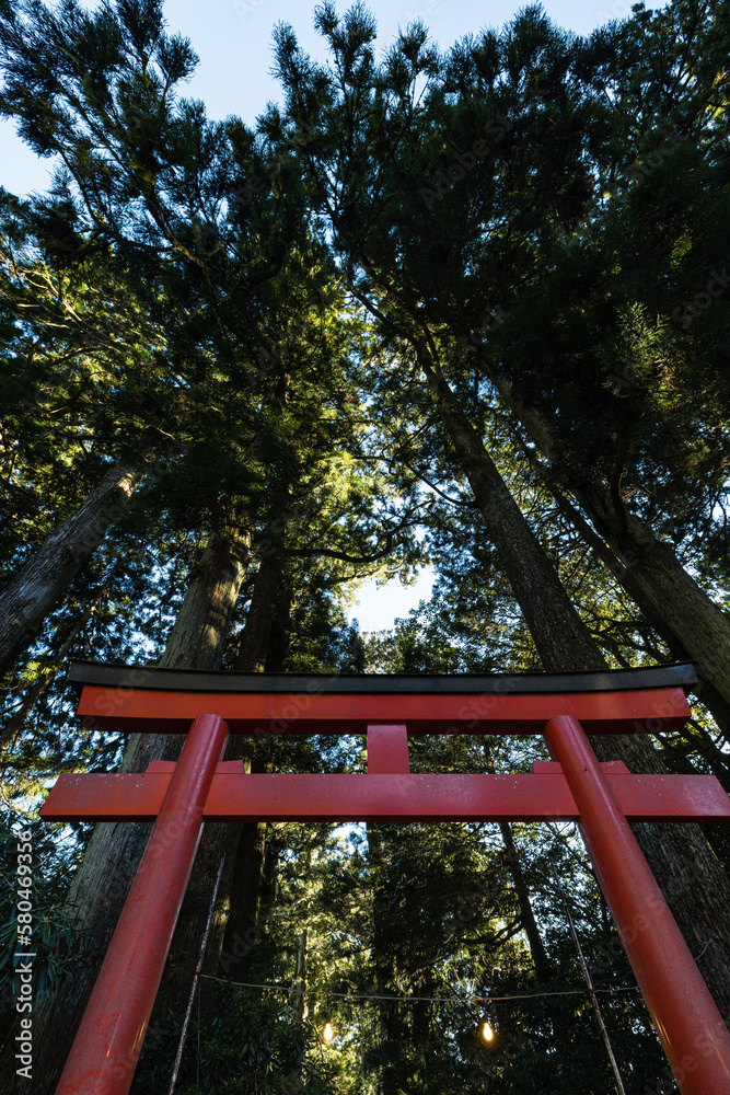 日本　神奈川県足柄下郡箱根町の芦ノ湖湖畔にある箱根神社の第五鳥居