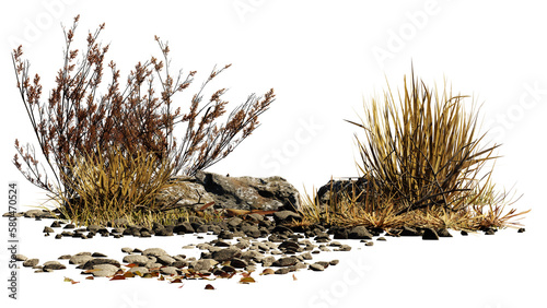 desert scene cutout, dry plants with rocks, isolated on transparent background 