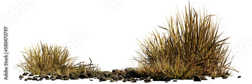 desert scene cutout, dry plants with rocks, isolated on transparent background banner