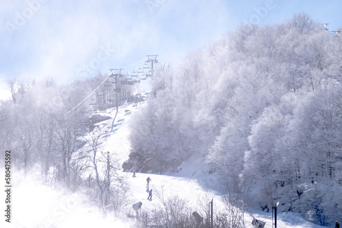 winter and snow scenery near beech mountain north carolina © digidreamgrafix