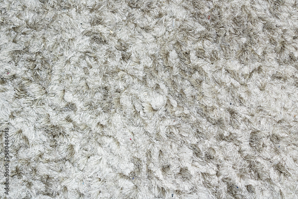 White and gray shaggy rug texture White and gray shaggy rug texture