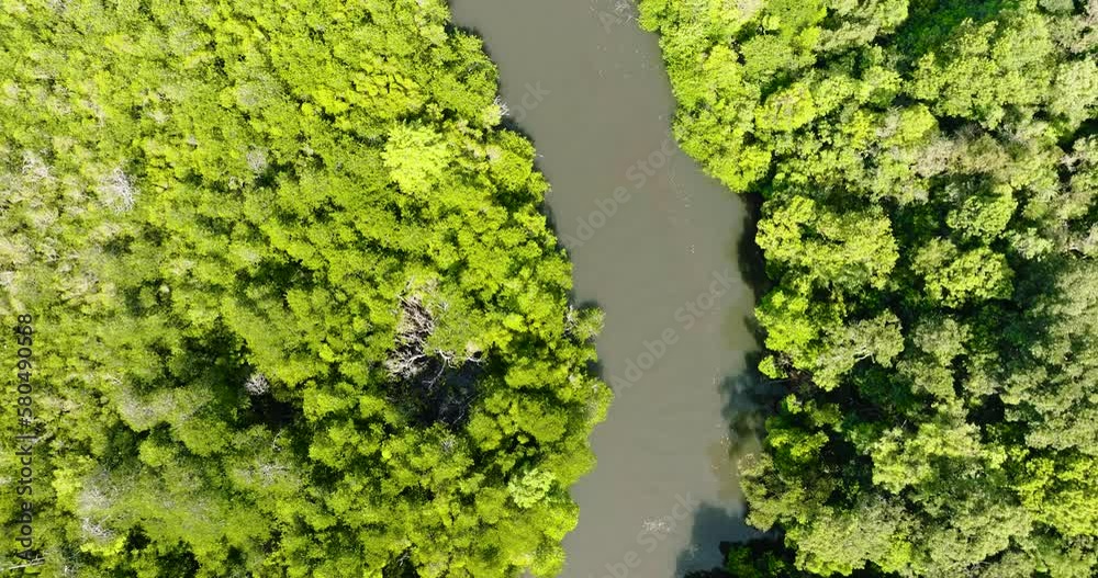 Aerial view of river in the rainforest among the green jungle. Sabah, Borneo, Malaysia. Aerial view of river in the rainforest among the green jungle. Sabah, Borneo, Malaysia.