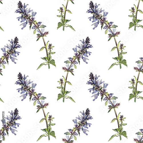 Seamless pattern with watercolor lungwort on white background. Hand-drawn spring and summer blue purple flower. Art for sticker florist or wrapping. Object for wallpaper or sketchbook and card