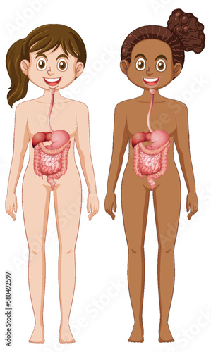 Set of Caucasian and African female