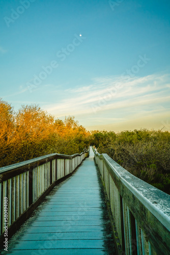 A long wooden boardwalk seems to stretch to infinity. Walkway through the lake and native forest at sunset, Oceano, California