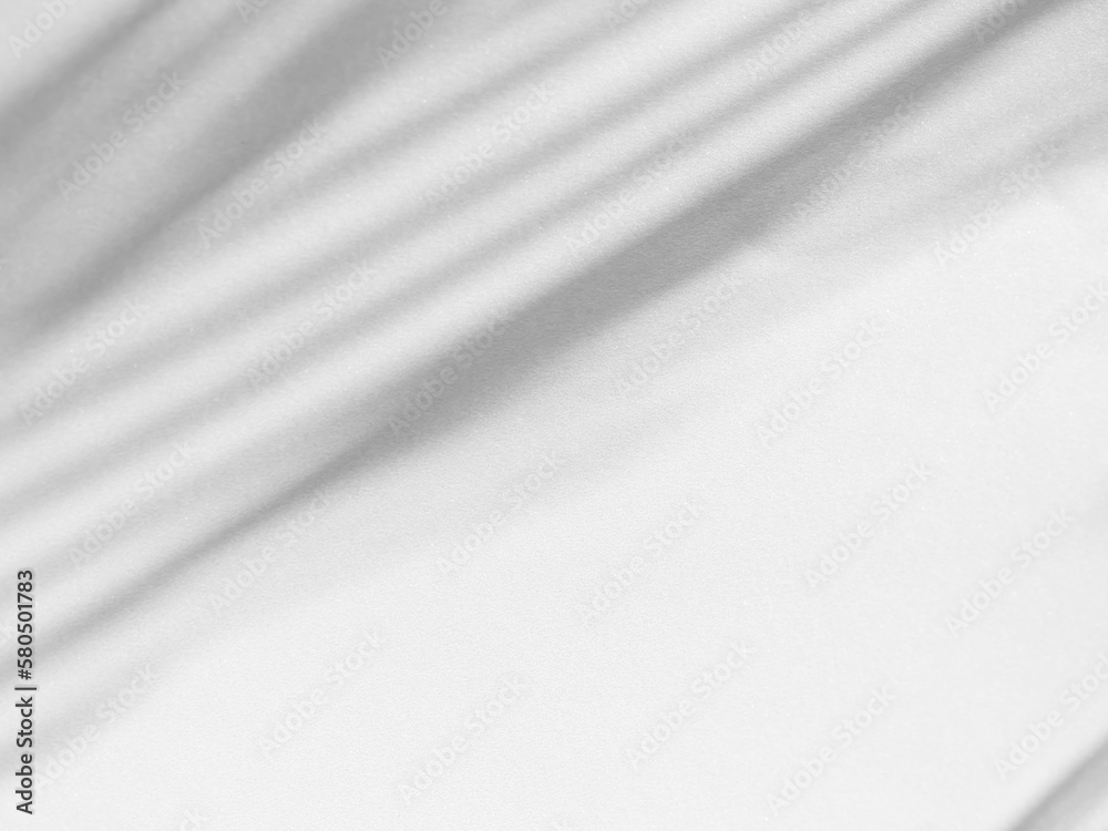 Shadow Leaves Nature on Cement Floor Room House Background,Light Overlay Tree Vintage on Construction Buiding Wall Floor,Autumn or Summer Backdrop Interior Room. Shadow Leaves Nature on Cement Floor Room House Background,Light Overlay Tree Vintage on Construction Buiding Wall Floor,Autumn or Summer Backdrop Interior Room.