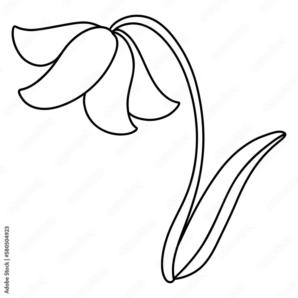 flower, Hand-drawn illustration, Spring season flower, Hand-drawn illustration, Spring season