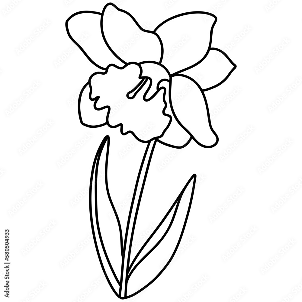 flower, Hand-drawn illustration, Spring season flower, Hand-drawn illustration, Spring season
