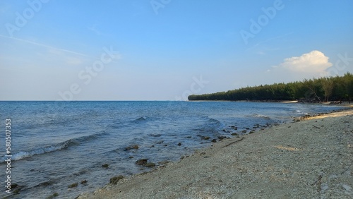 Selective focus seawater lake on a beautiful white sand beach with fir trees in the background