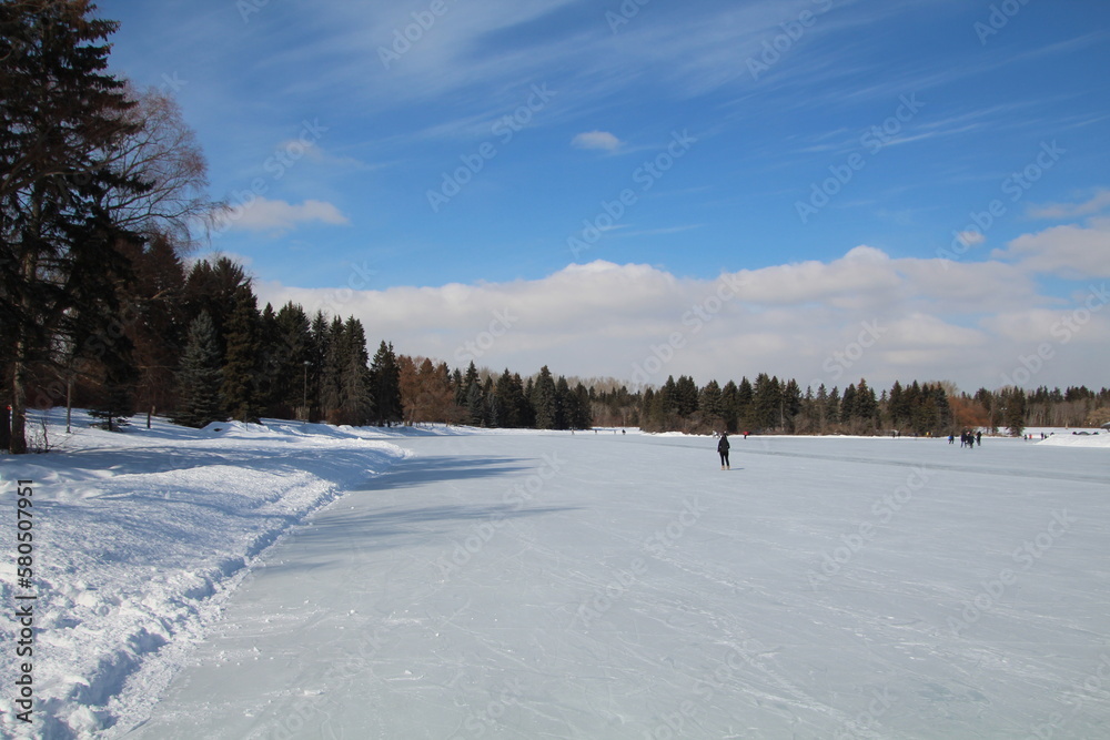 winter landscape with snow, William Hawrelak Park, Edmonton, Alberta