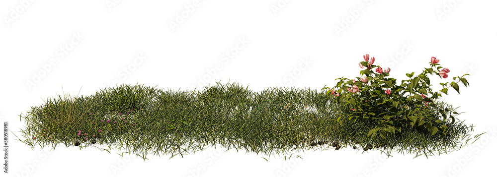 nature scene with grass, clover, and flowers, isolated on transparent background banner