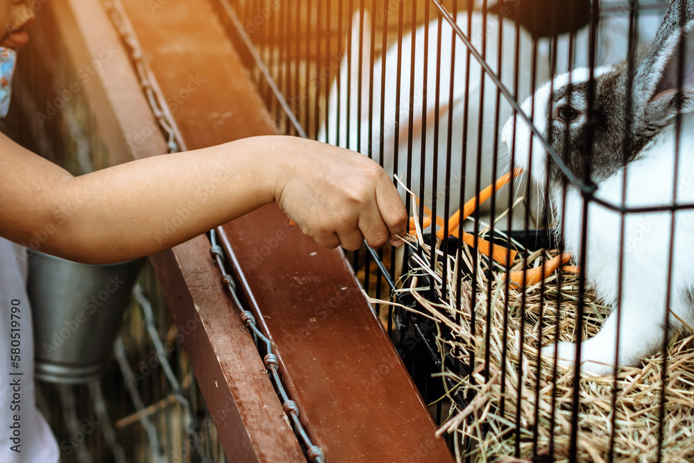 Adorable little girl feeding rabbit at farm. Kid feeding and petting ...